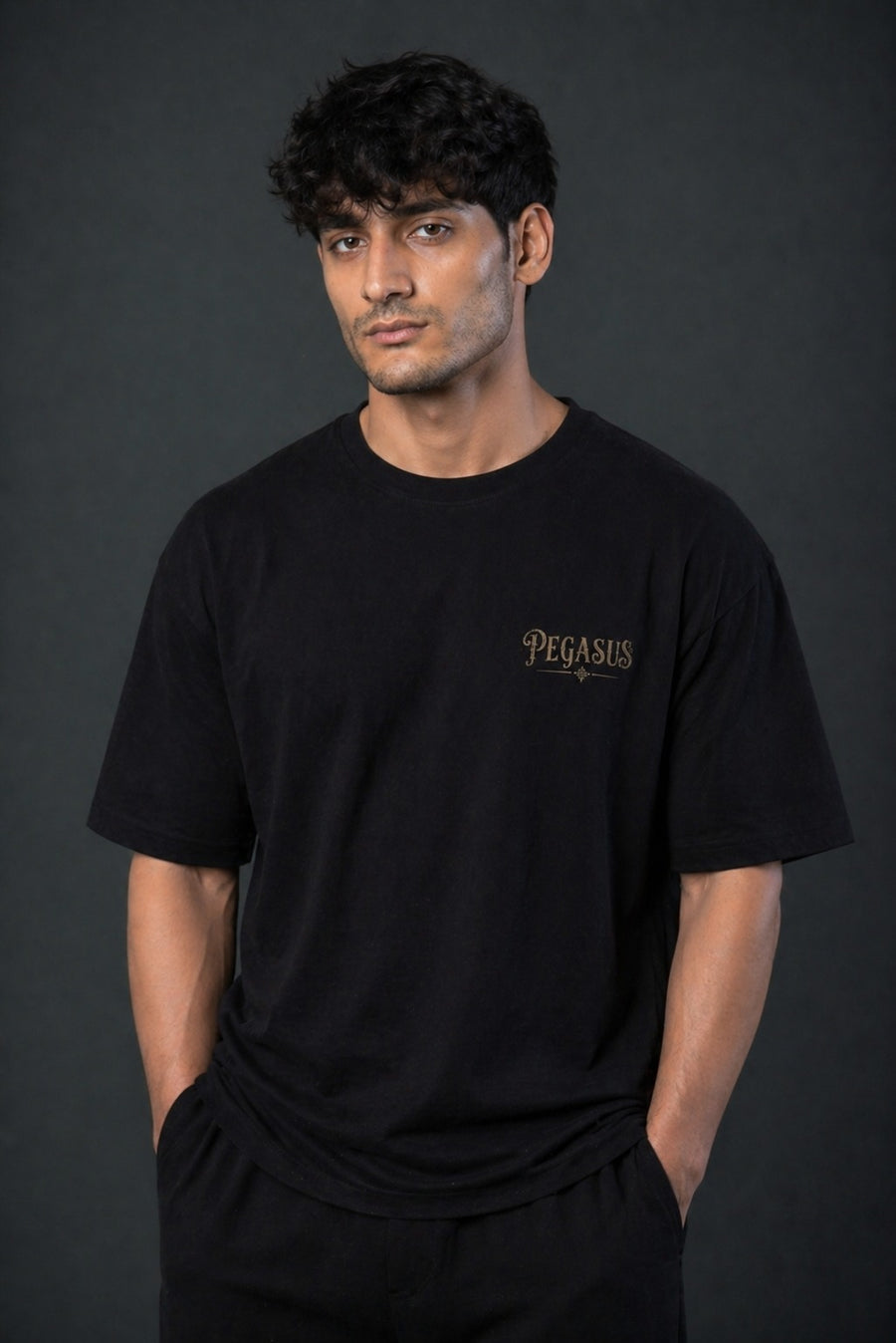 MYTHIC RISE TEE – PEGASUS GRAPHIC