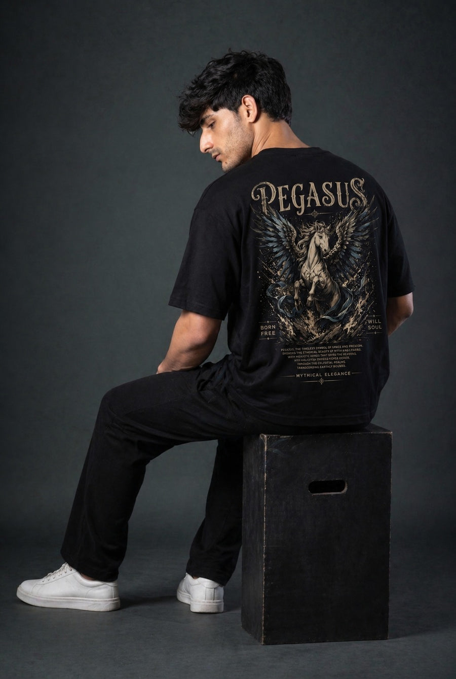 MYTHIC RISE TEE – PEGASUS GRAPHIC