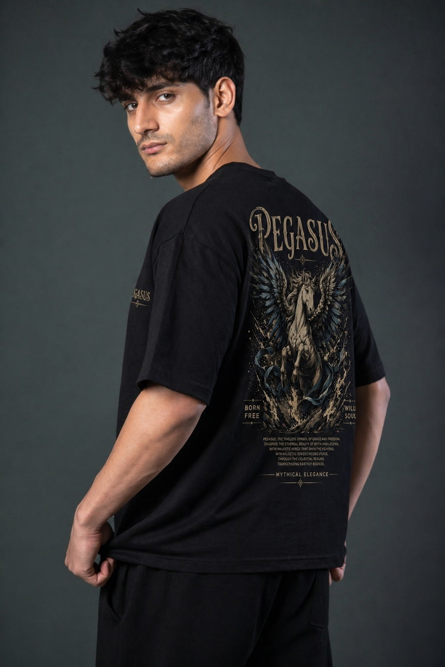 MYTHIC RISE TEE – PEGASUS GRAPHIC